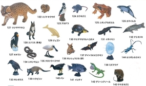 초코에그 일본동물 24종